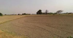 Rewari, Haryana 123401, India preview 3