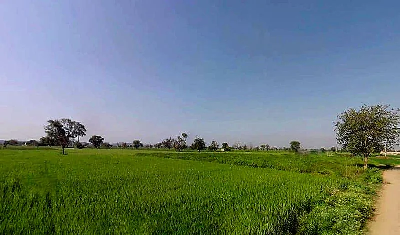 Milkpur, Rajasthan 301026, India preview 2