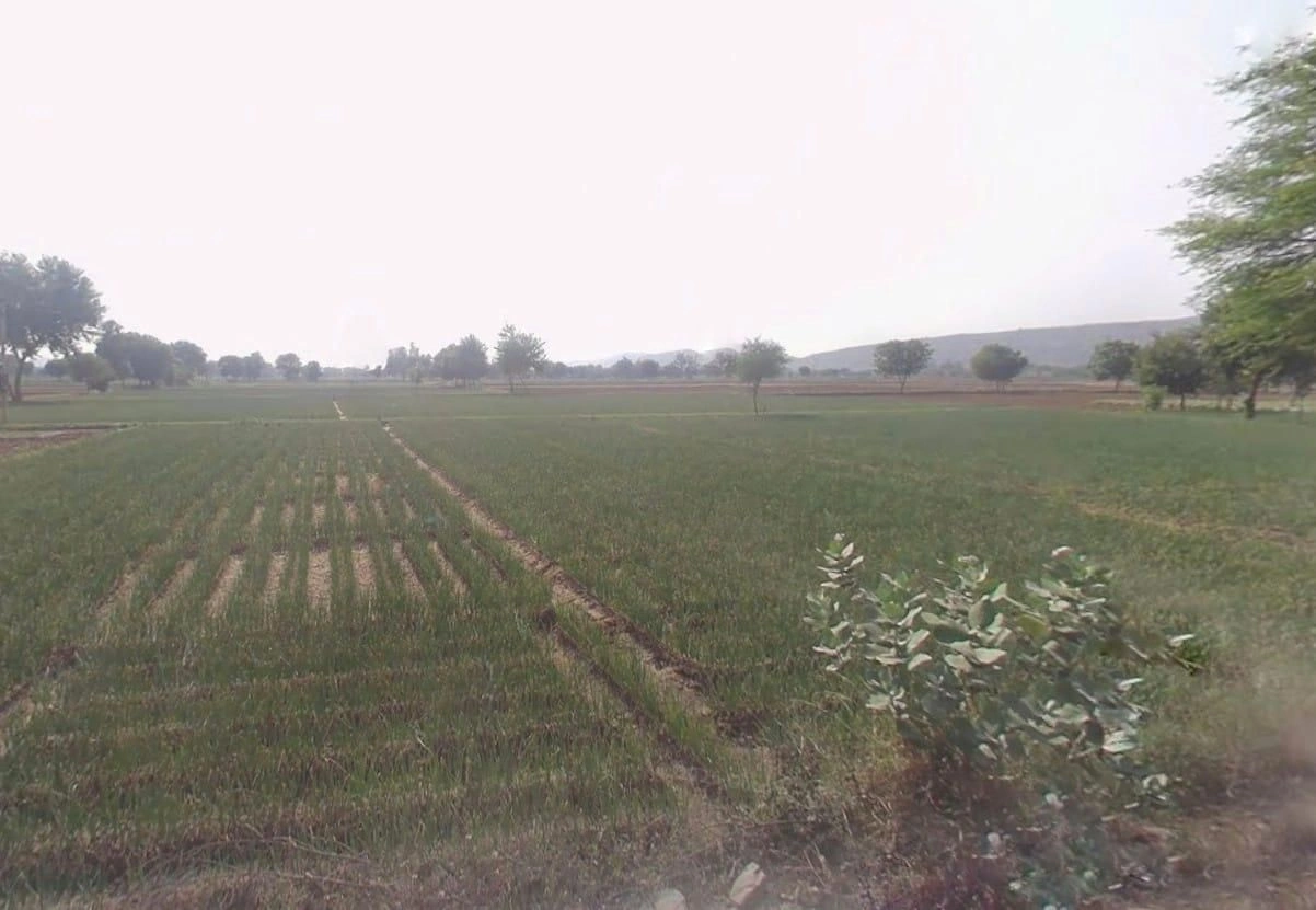 CQ6C+4FV, Thumrela, Rajasthan 321633, India