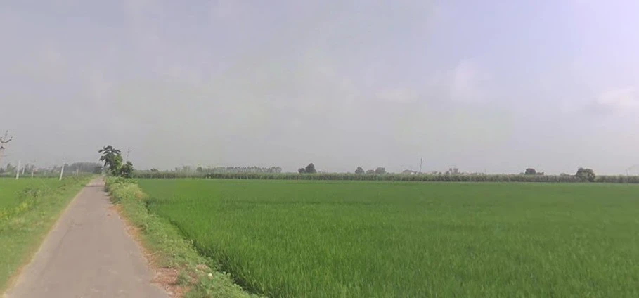 Jundla, Haryana 132036, India