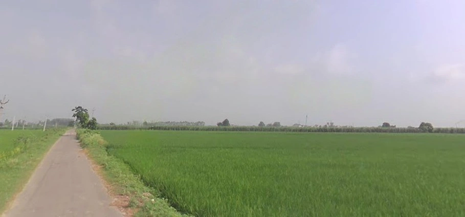 Jundla, Haryana 132036, India