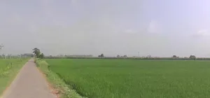 Jundla, Haryana 132036, India preview 3