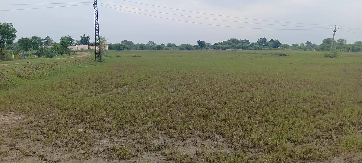3RP2+M5 Sonwa, Rajasthan, India