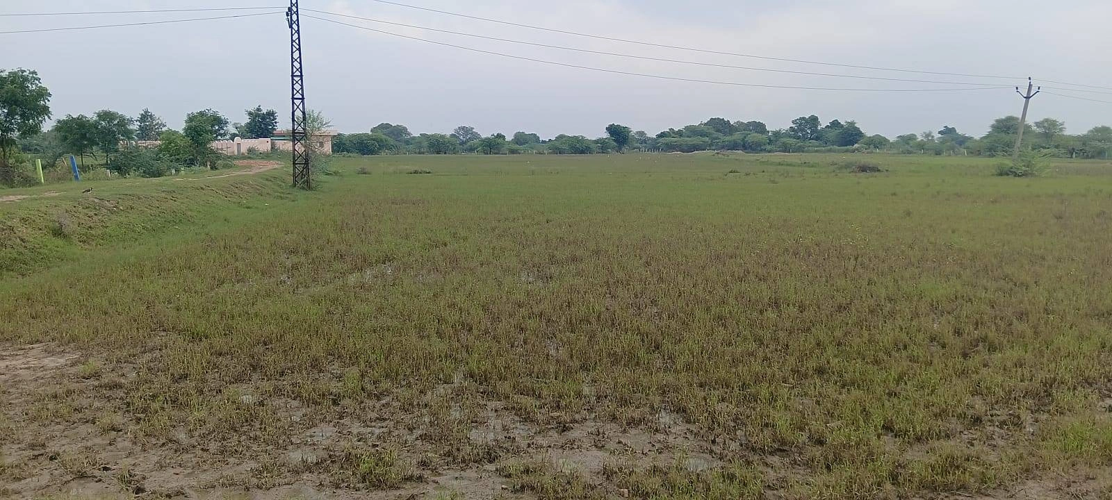 3RP2+M5 Sonwa, Rajasthan, India