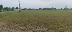 3RP2+M5 Sonwa, Rajasthan, India preview 3