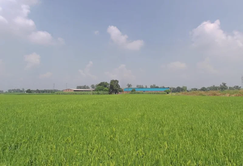 Buttar, Punjab 142040, India preview 3