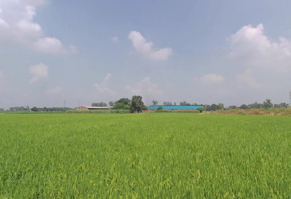 Buttar, Punjab 142040, India