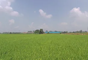Buttar, Punjab 142040, India preview 3