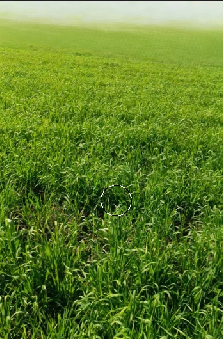 Jaora, Madhya Pradesh 457226, India preview 2
