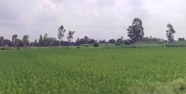 4HRP+6XR, Awantipur Badodia, Madhya Pradesh 465118, India
