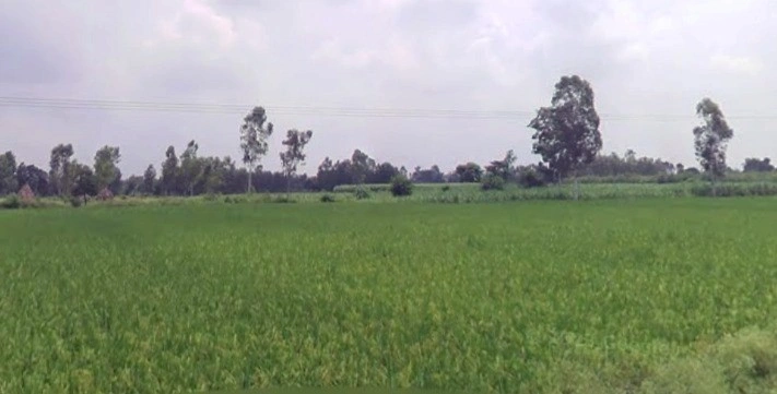 4HRP+6XR, Awantipur Badodia, Madhya Pradesh 465118, India