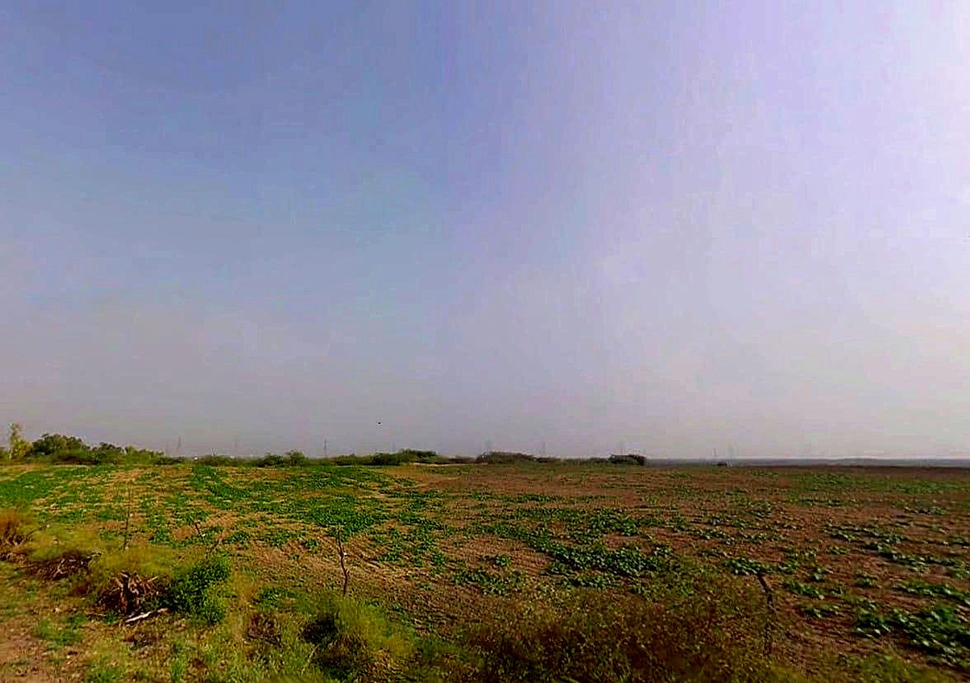 J69C+GQ2, Badakhera, Rajasthan 323603, India