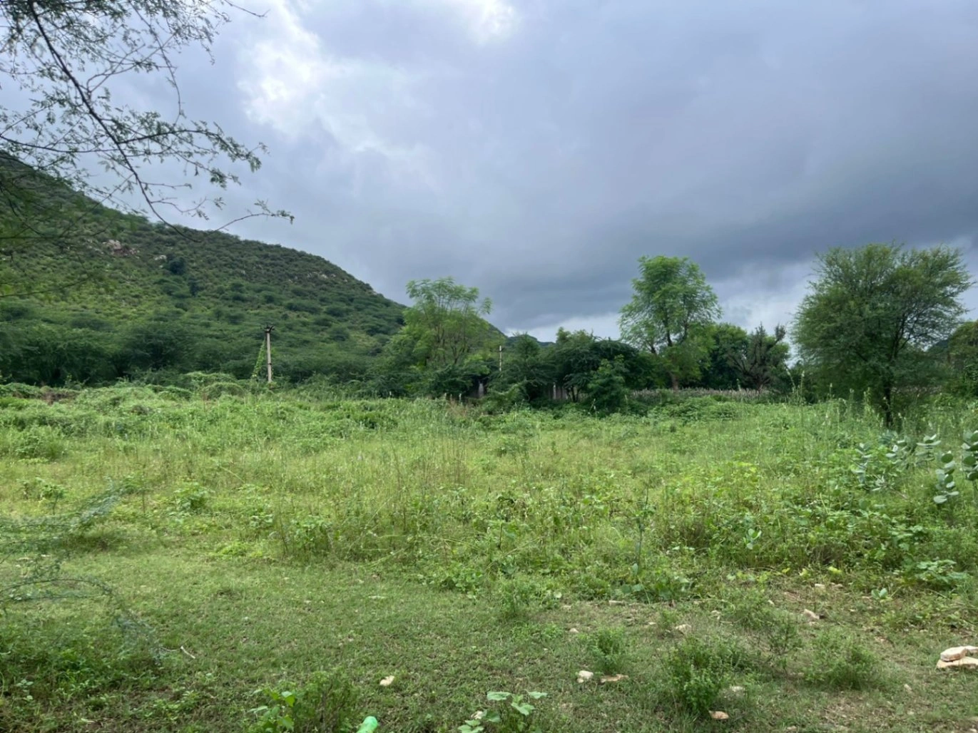 2PPW+P7 Basant Bihar, Rajasthan, India