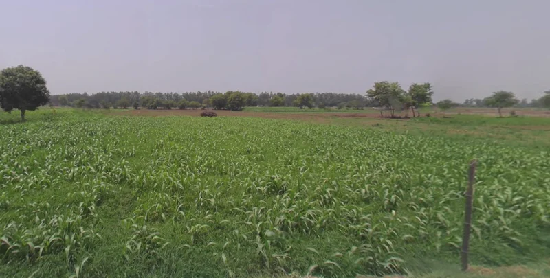 659X+7P Goalhati, West Bengal, India preview 3