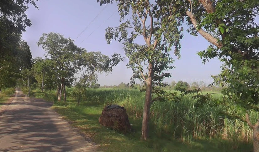 Unnamed Road, MP45+XHJ, Shahpur Fagauta, Uttar Pradesh 245101, India