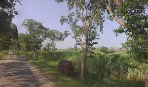 Unnamed Road, MP45+XHJ, Shahpur Fagauta, Uttar Pradesh 245101, India preview 2