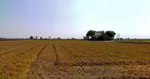 Khavad, Gujarat 384445, India preview 3