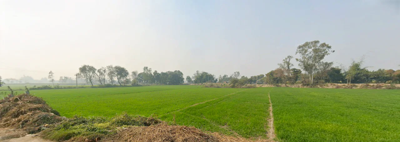 Raipur, Uttar Pradesh 247121, India preview 3