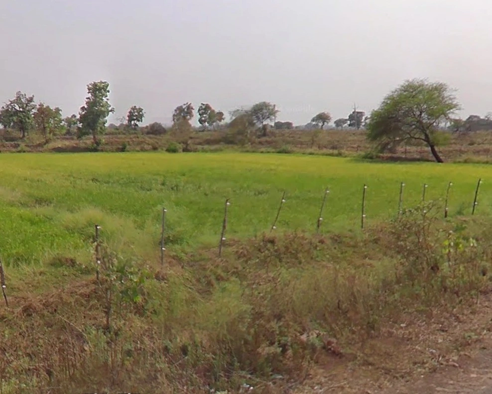 Jhalap, Chhattisgarh 493551, India