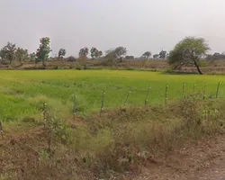 Jhalap, Chhattisgarh 493551, India preview 3