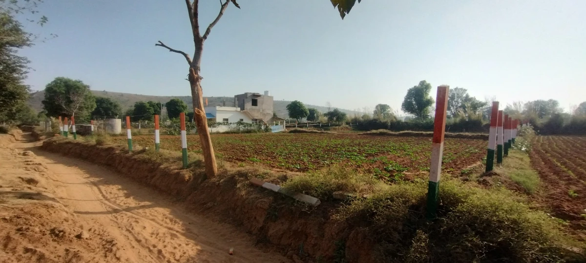 Kerwawal, Rajasthan, India