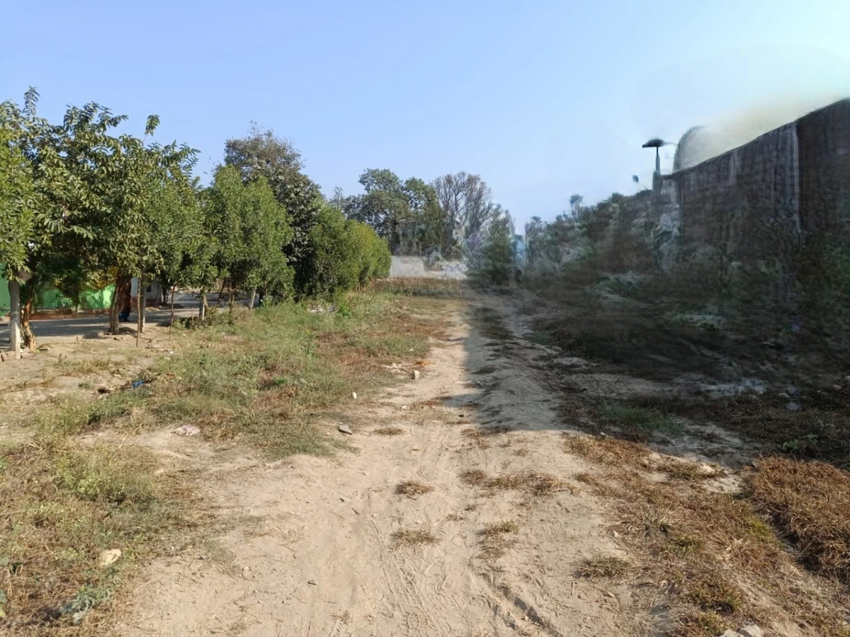 near Fire Station, Mayapur, Haridwar, Uttarakhand 249401, India