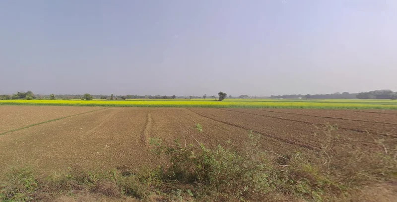 Mayapur, West Bengal 741313, India preview 3