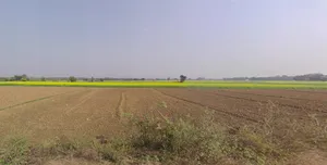 Mayapur, West Bengal 741313, India preview 3