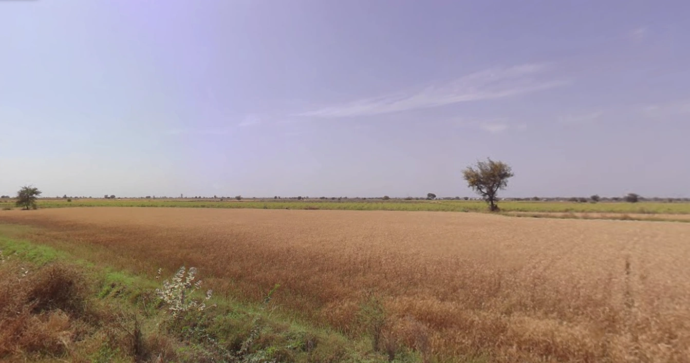 Viramgam, Gujarat 382150, India