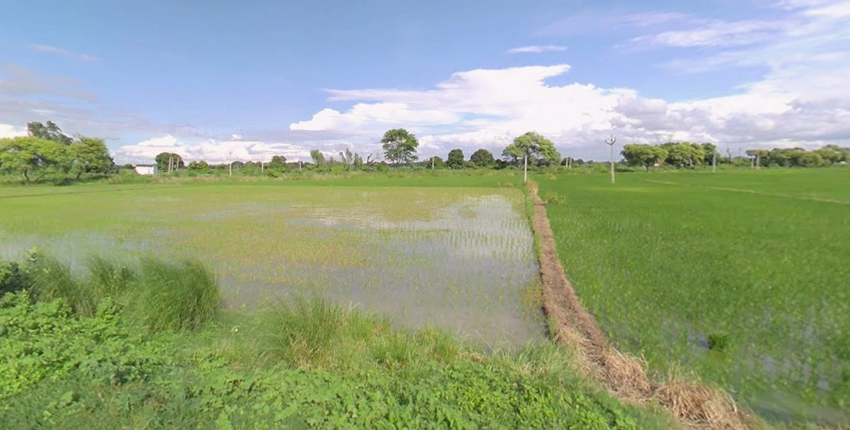 Tarawali, Madhya Pradesh 464551, India