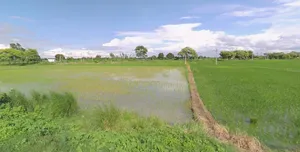 Tarawali, Madhya Pradesh 464551, India preview 3