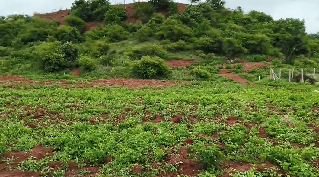 9VJG+5Q, Vikarabad, Kompally, Telangana 501102, India