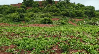 9VJG+5Q, Vikarabad, Kompally, Telangana 501102, India preview 2