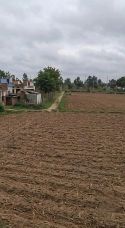 Barhana, Uttar Pradesh, India