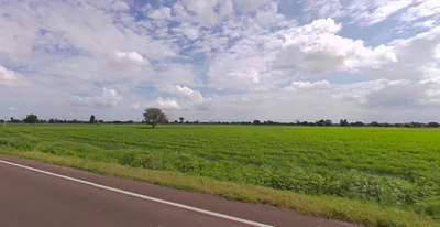 Shiroda, Maharashtra 416518, India preview 2