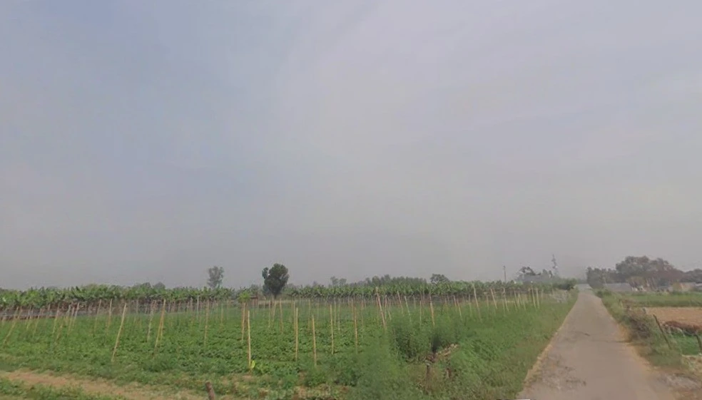 Gohanakalan, Uttar Pradesh, India