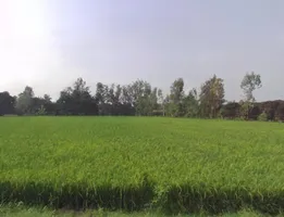 Daulatpur, Uttar Pradesh 203398, India preview 3