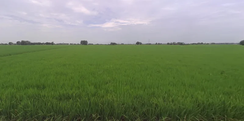 Jagdev Kalan, Punjab 143101, India preview 3