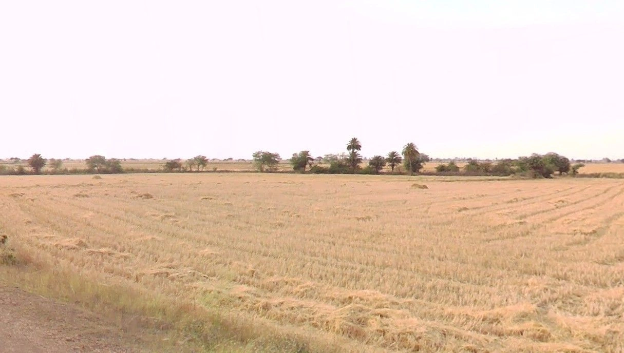 Jhagariya, Madhya Pradesh, India