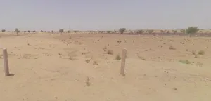 Husangsar, Rajasthan 334022, India preview 2