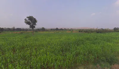 JX7F+RQM, Bhawadi, Maharashtra, India preview 3