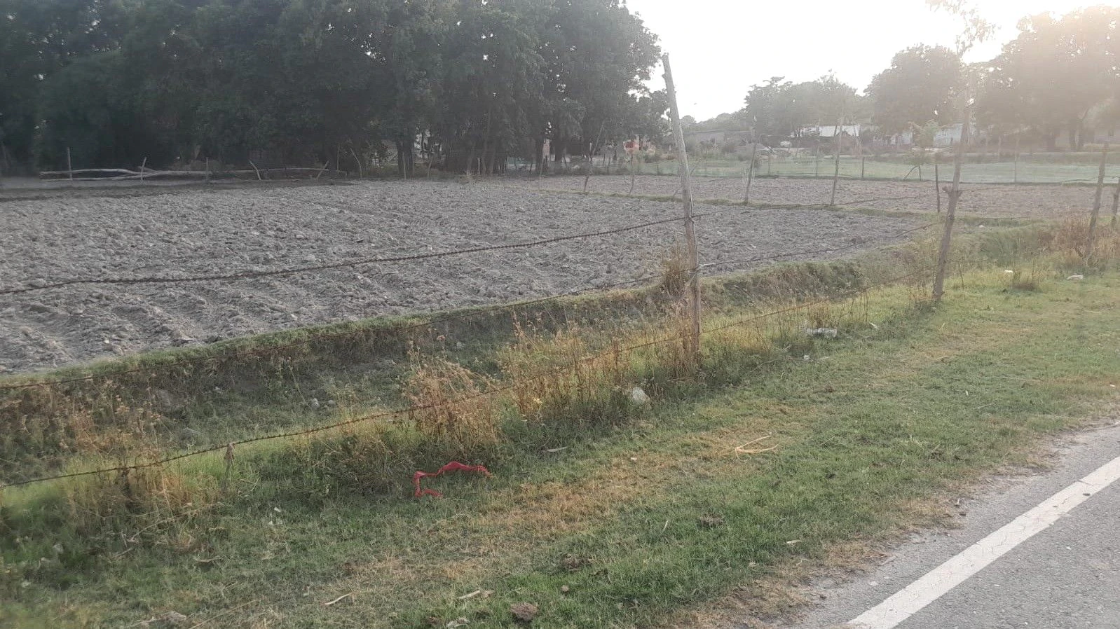 P44V+XX Madhopur, Uttar Pradesh, India