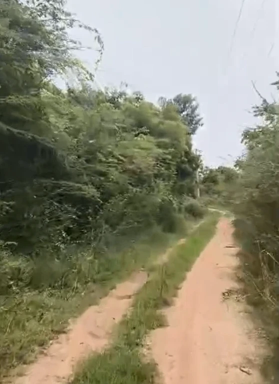 HMG3+HP Thorrur, Mahabubabad, Telangana, India