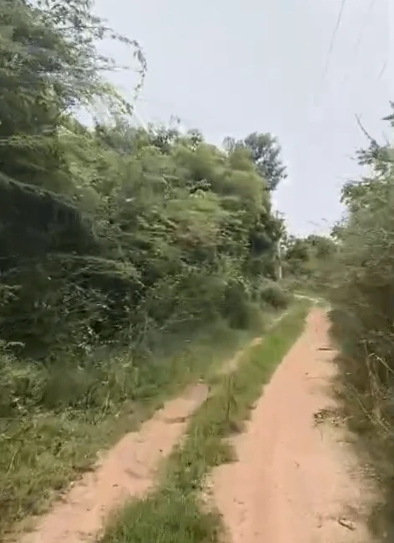 HMG3+HP Thorrur, Mahabubabad, Telangana, India - Photo 3