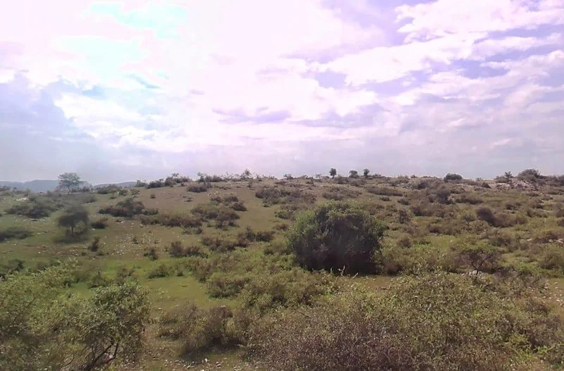 GWW5+5W Asawara, Rajasthan, India preview 2