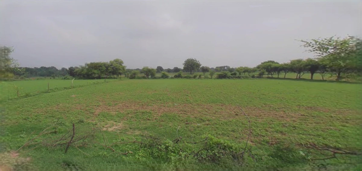 Panipat, Haryana, India