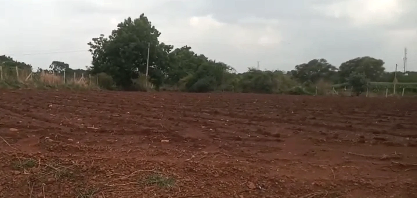 FWWQ+PWH, Vikarabad, Yenkathala, Telangana 501202, India