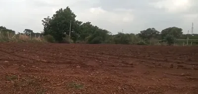 FWWQ+PWH, Vikarabad, Yenkathala, Telangana 501202, India preview 3