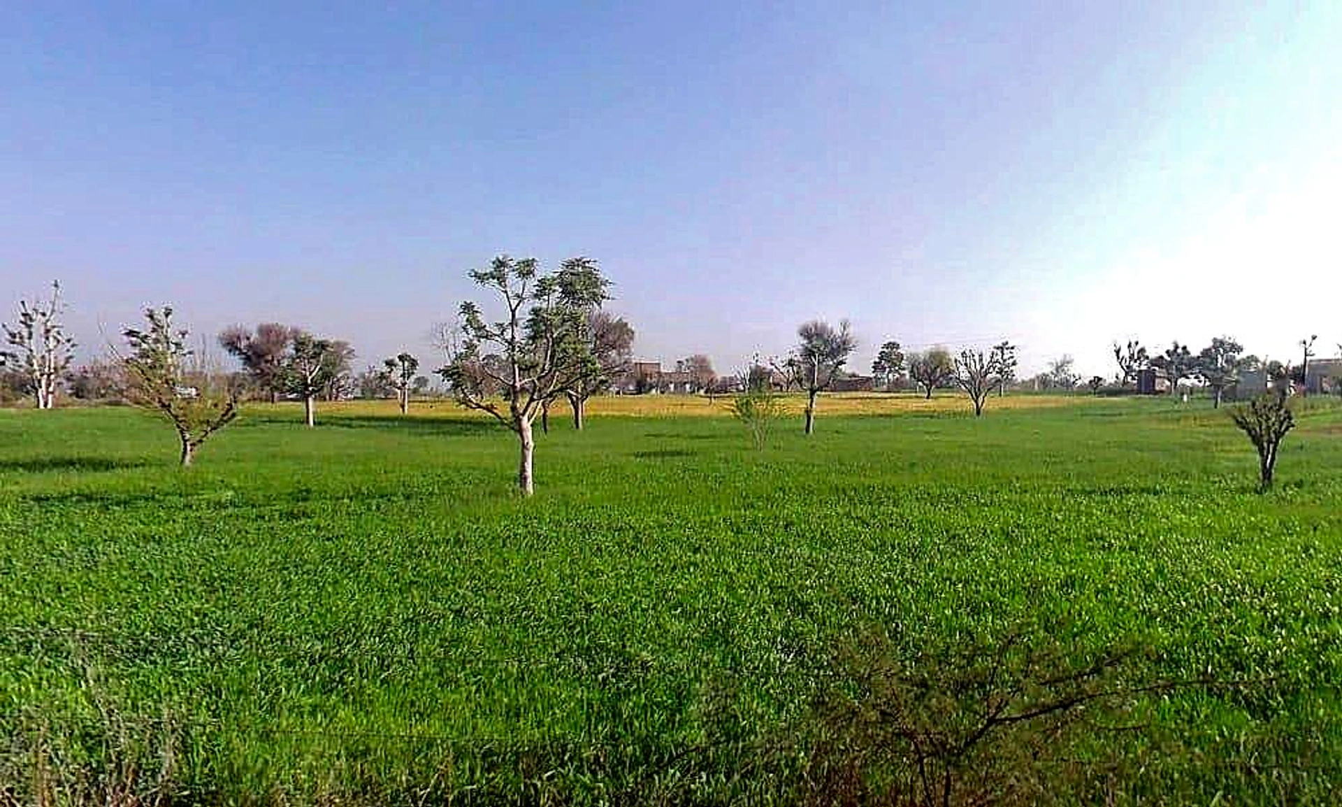 4X8Q+62V, Dheengpur, Rajasthan 332601, India