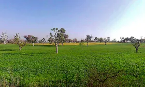 4X8Q+62V, Dheengpur, Rajasthan 332601, India preview 3